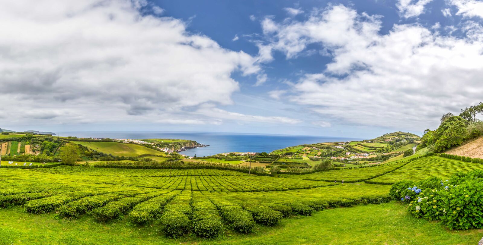 Canon EF 16-35mm F2.8L II USM sample photo. Acores, landscape, nature photography
