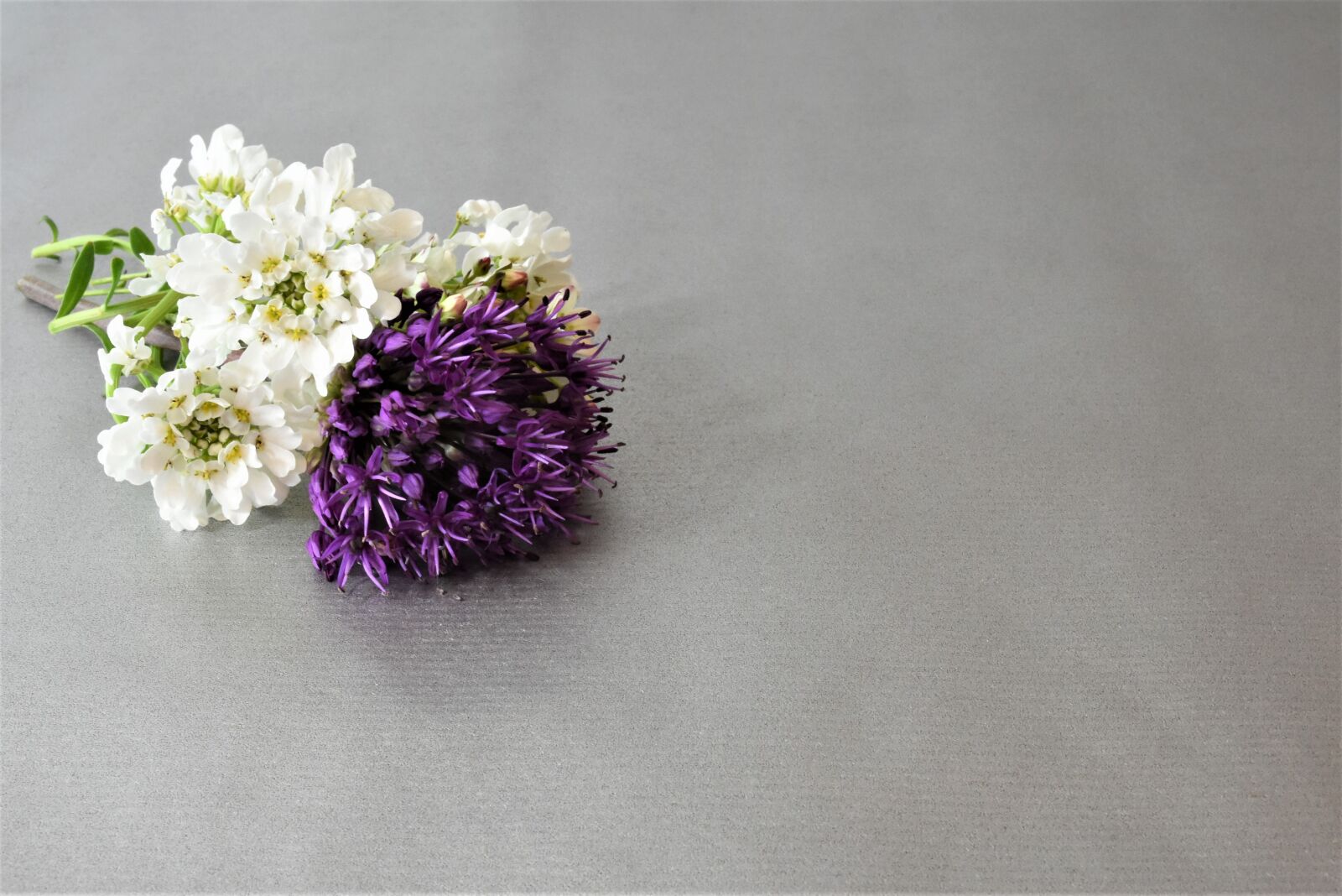 Nikon D7200 sample photo. Background, flowers, white photography