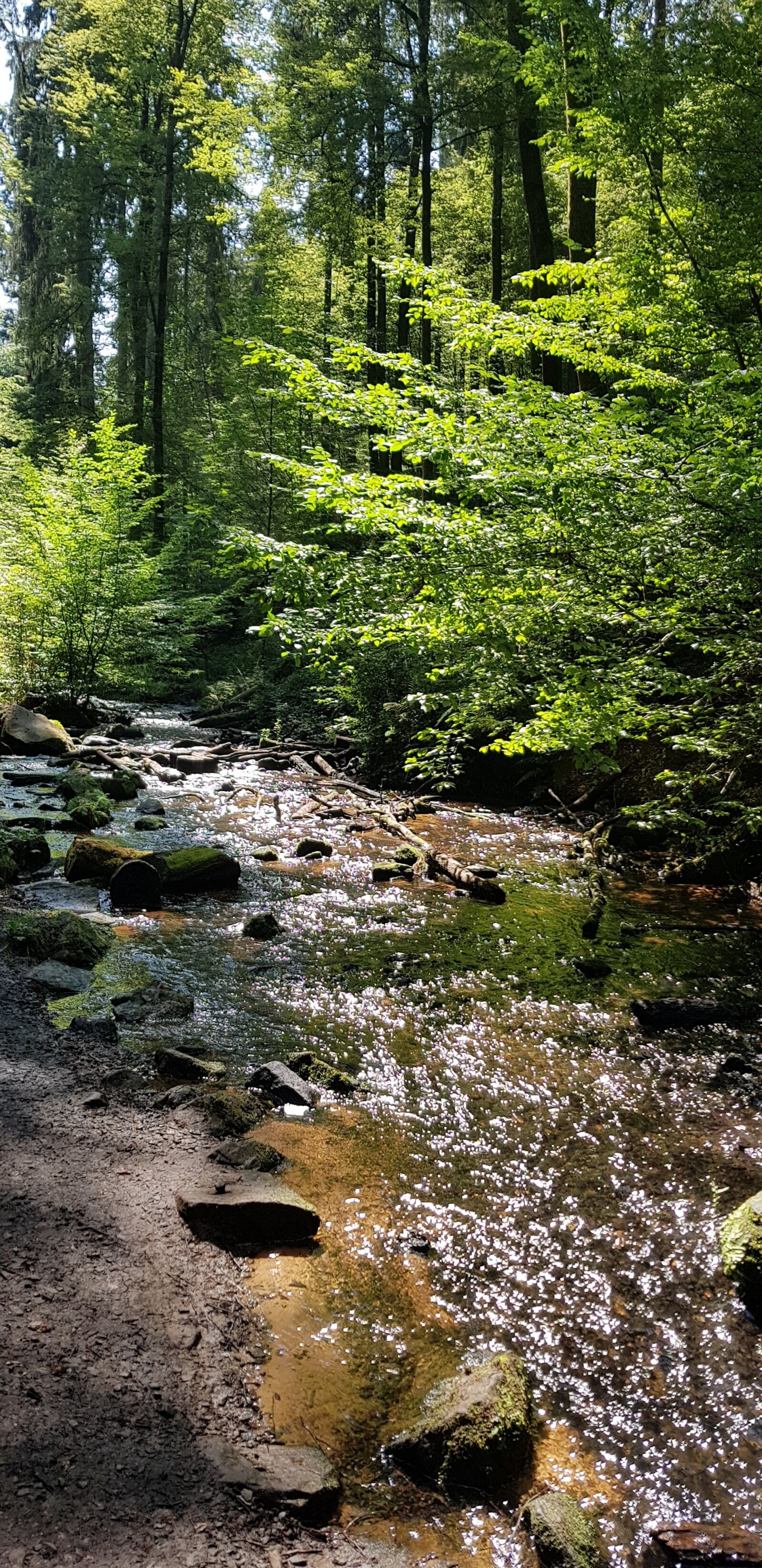 Samsung Galaxy S8 sample photo. Palatinate forest, creek, water photography