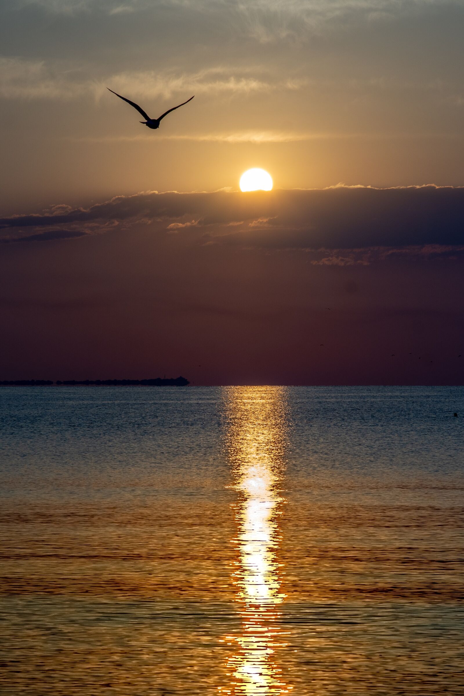 Nikon D7200 sample photo. Sunrise, black sea, sea photography