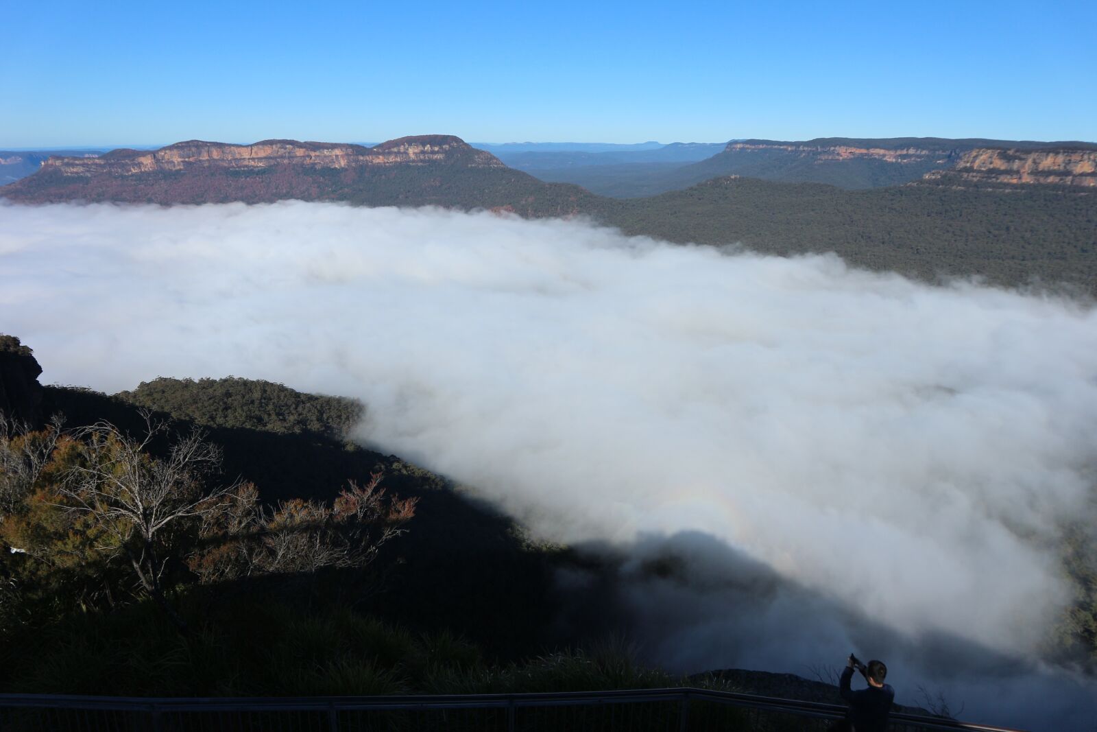 Canon EF-M 15-45mm F3.5-6.3 IS STM sample photo. Australia, fog, sydney photography