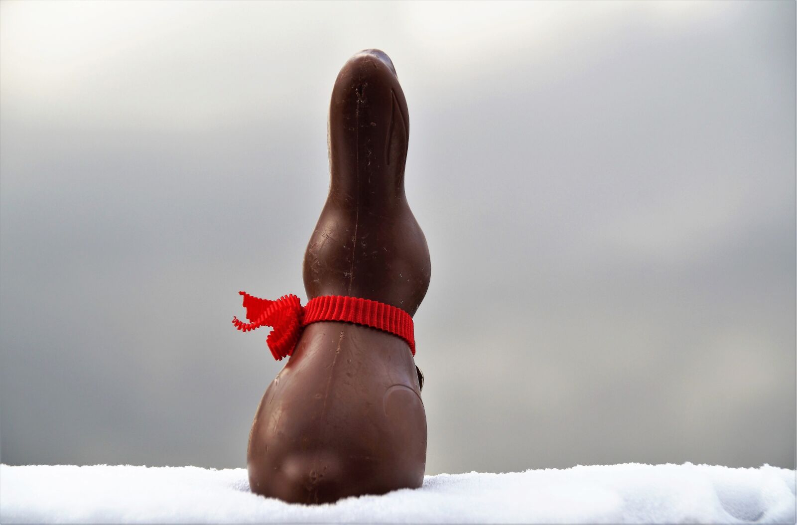 Sony SLT-A58 sample photo. Bunny girl, easter, chocolate photography