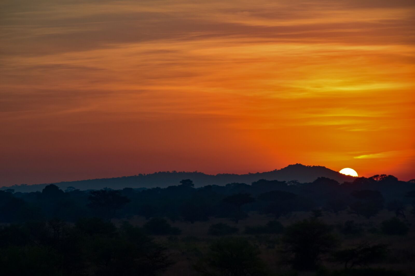 Nikon D5300 sample photo. Sunrise, africa, serengeti photography