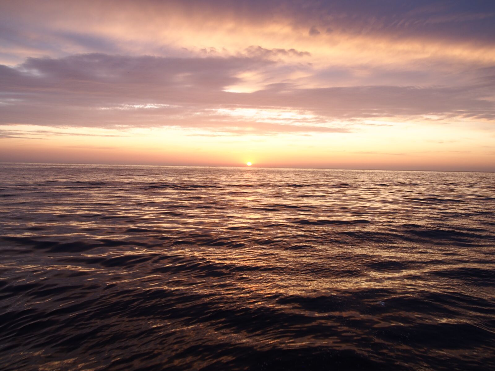 Olympus PEN E-PL6 sample photo. Sea, water, the baltic photography