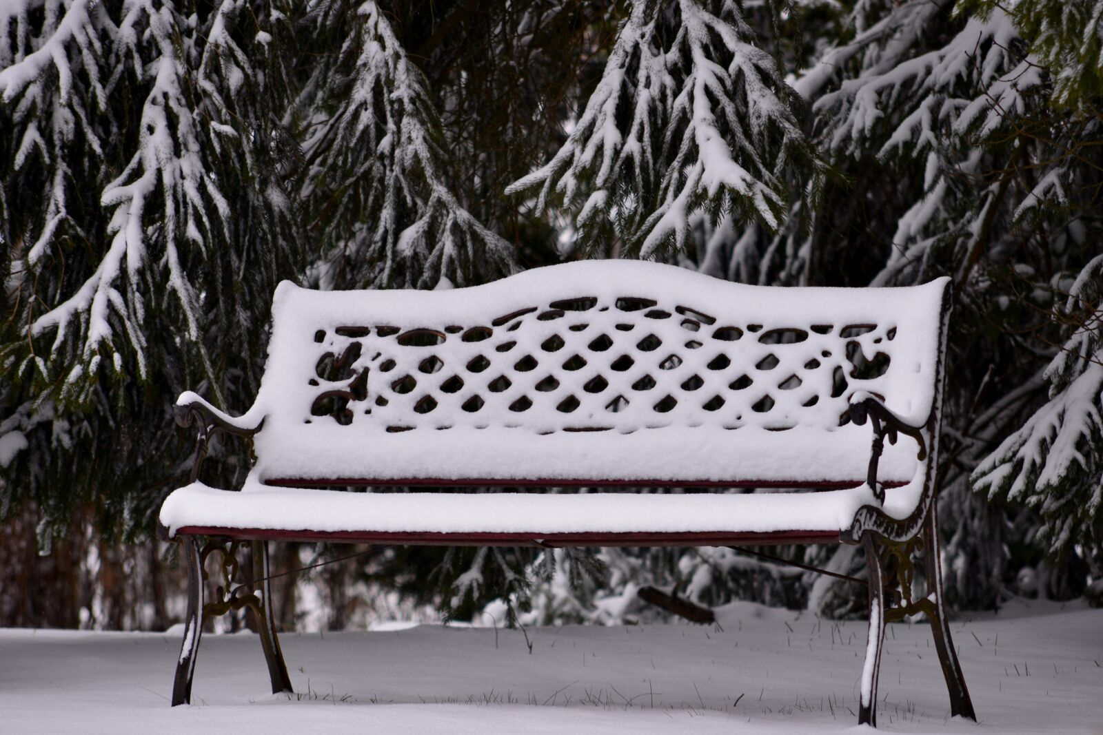 Nikon D600 sample photo. Tuinbankje, garden bench, snowy photography