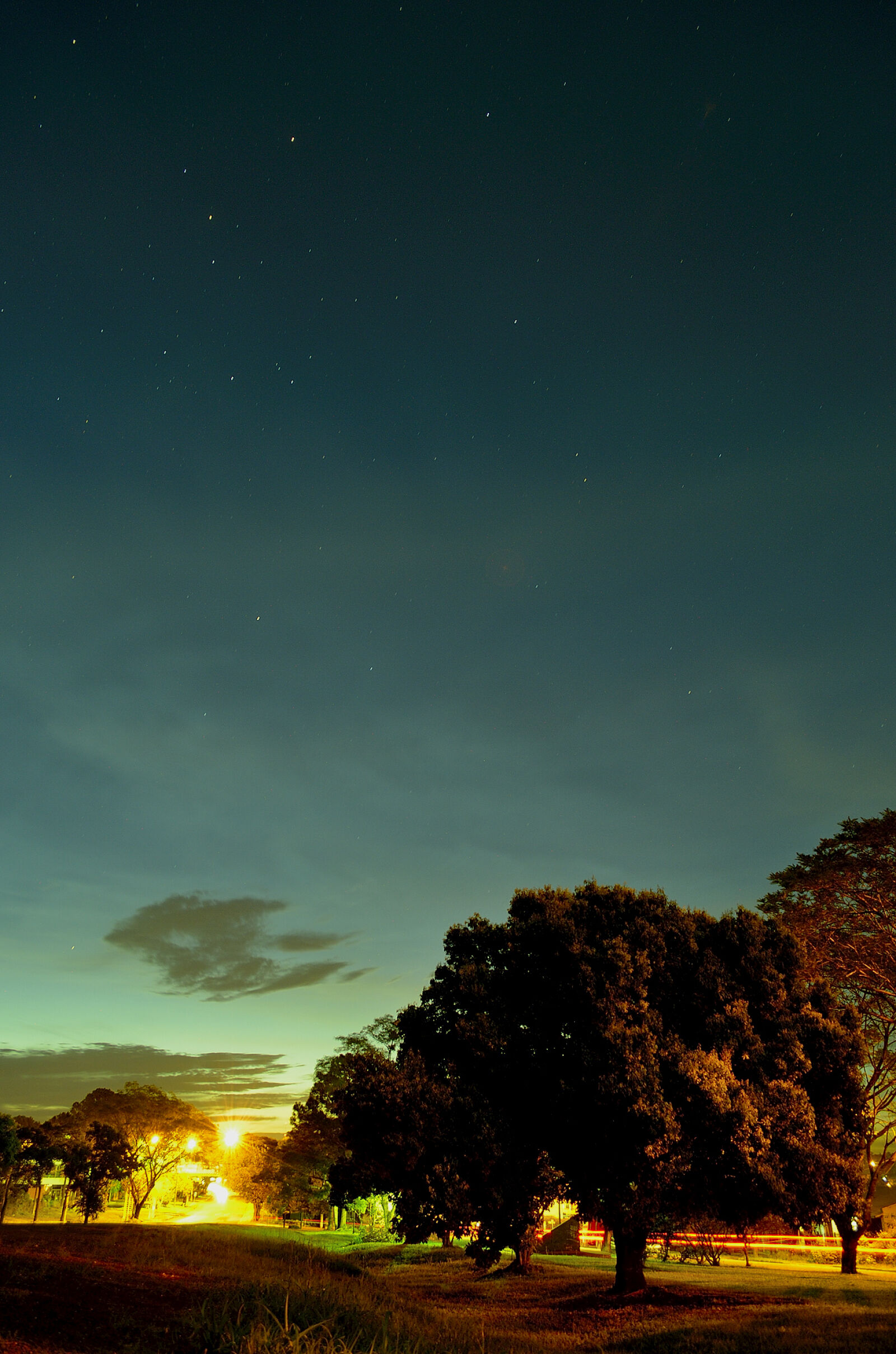 Nikon D5100 sample photo. Photography, of, tree, during photography