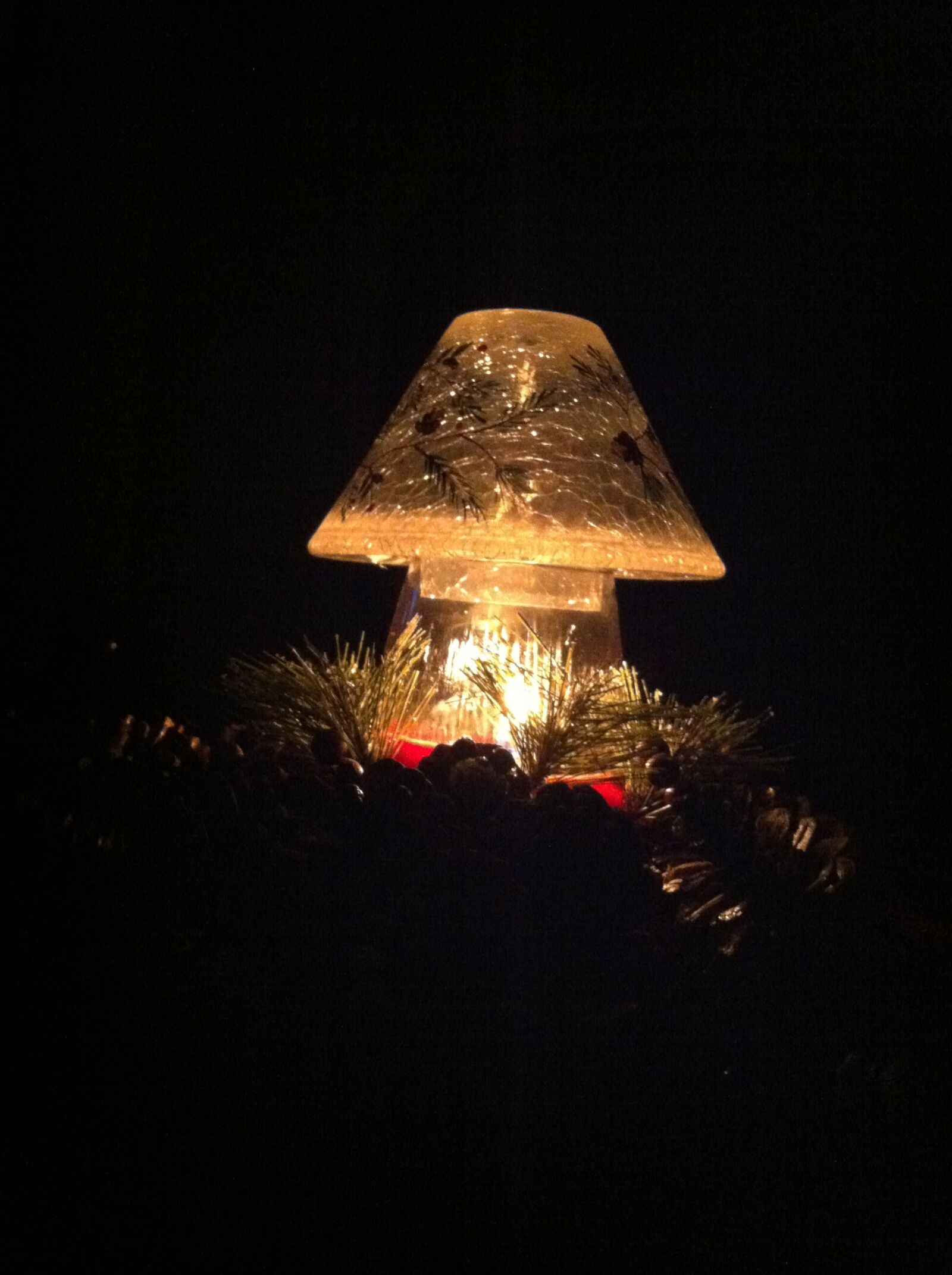 iPhone 4 back camera 3.85mm f/2.8 sample photo. Candle, night, romantic photography