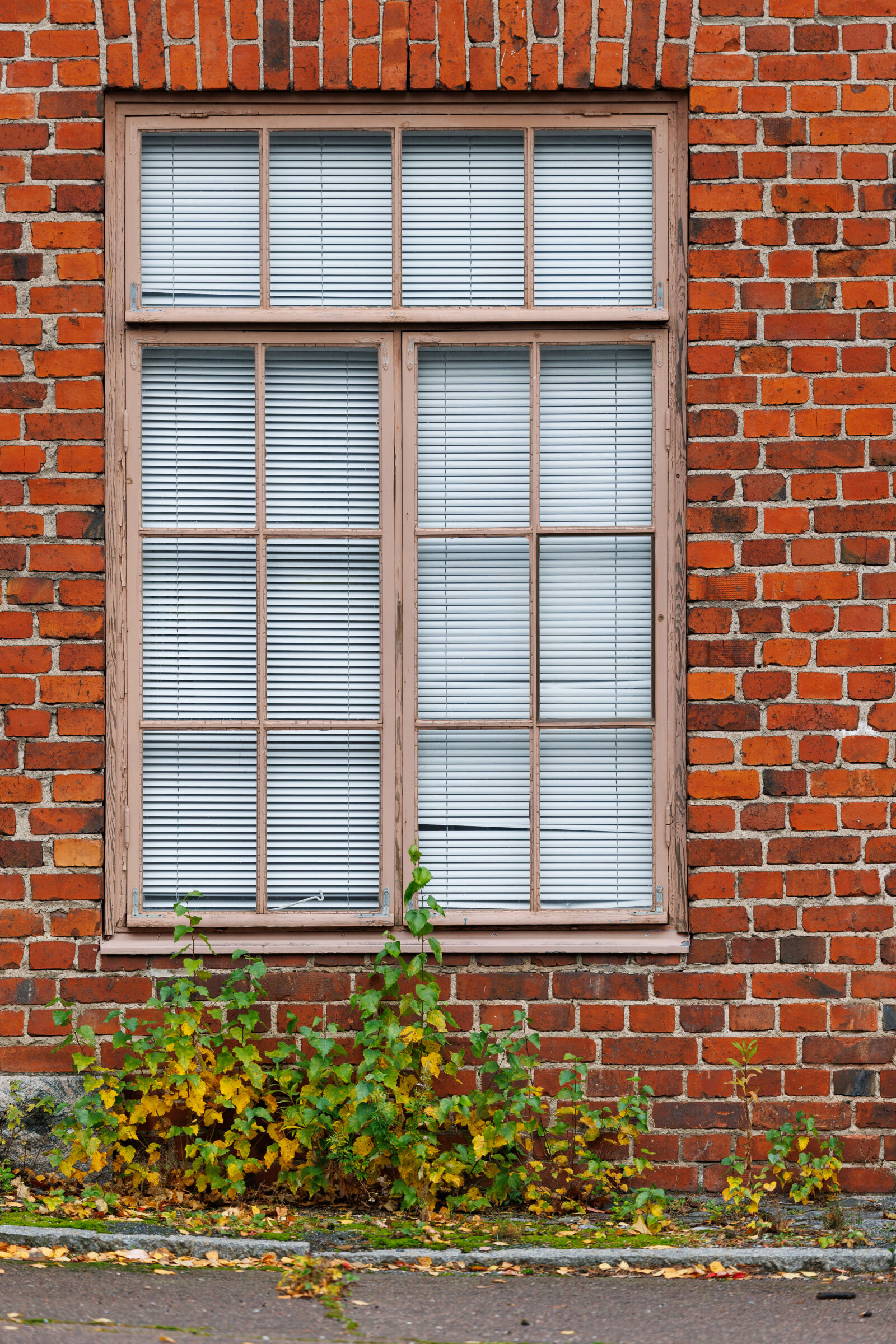 Canon EOS R1 sample photo. Window wall photography