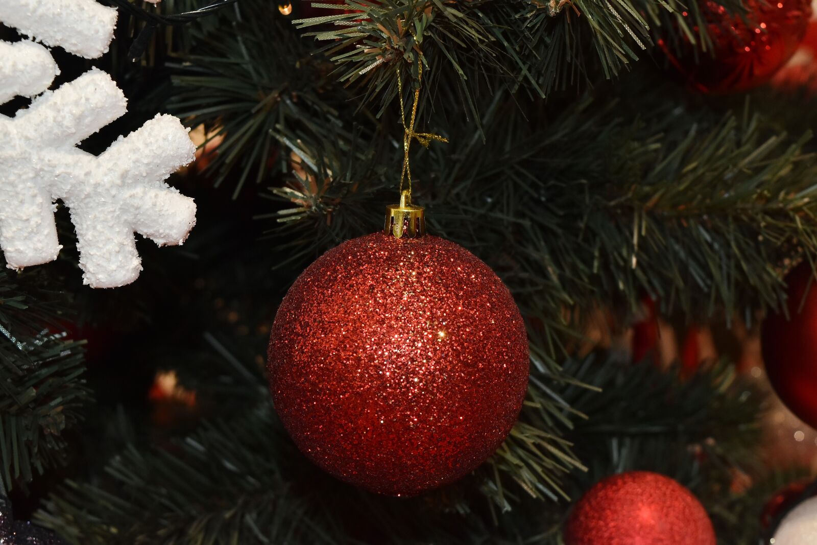 Nikon D5500 sample photo. Christmas tree, ornament, red photography