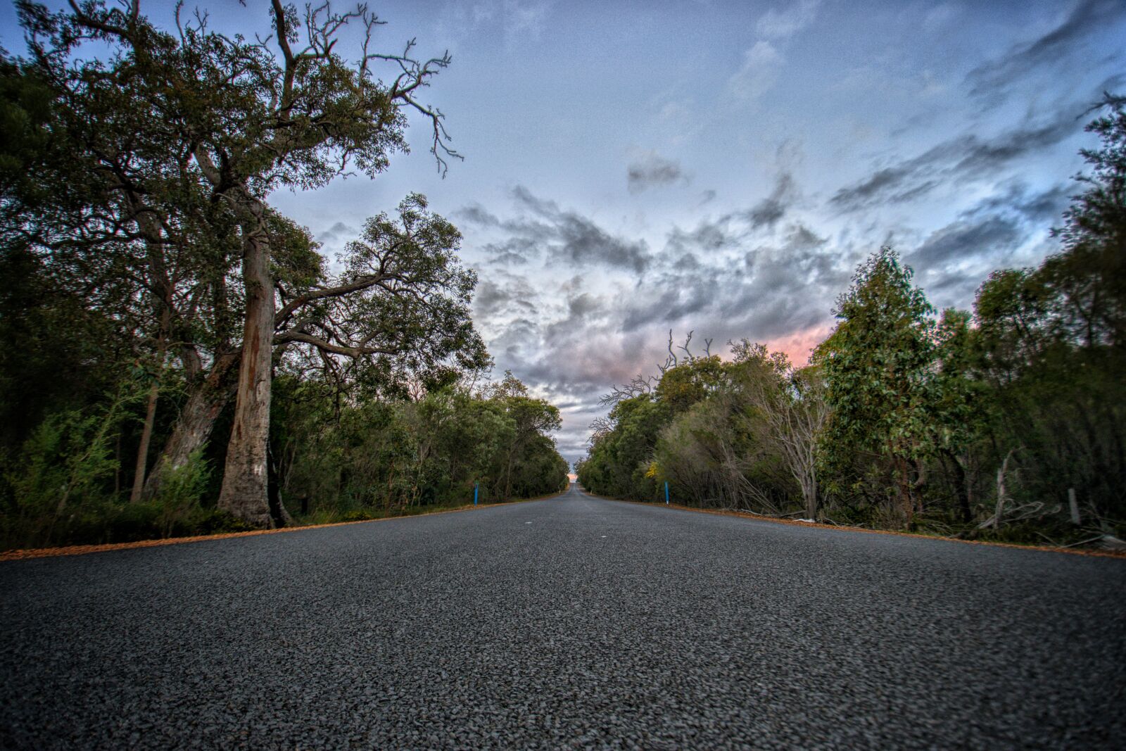 Nikon D3300 sample photo. Road, bitumen, country photography