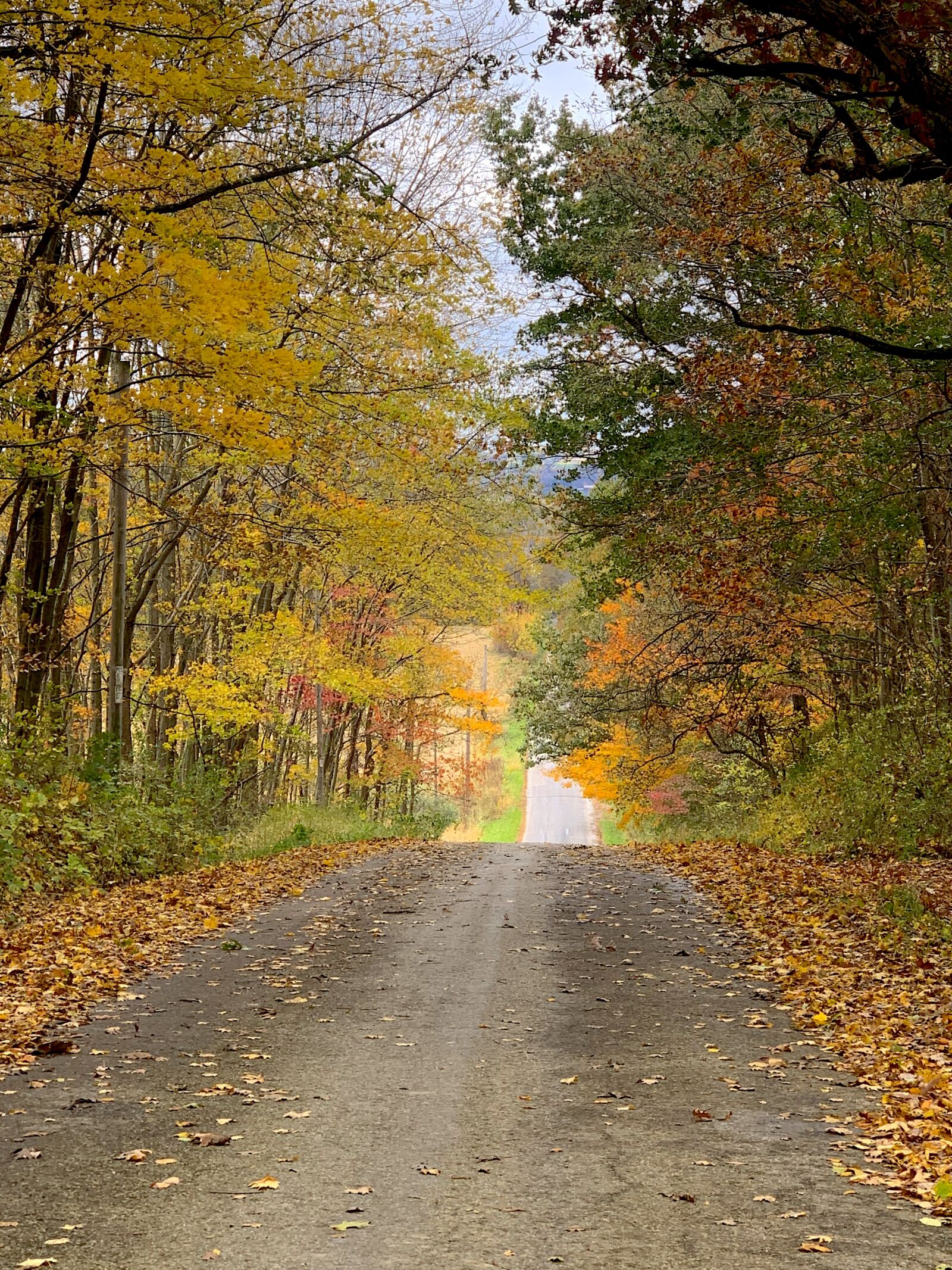 Apple iPhone XS Max sample photo. Autumn, fall colors, road photography