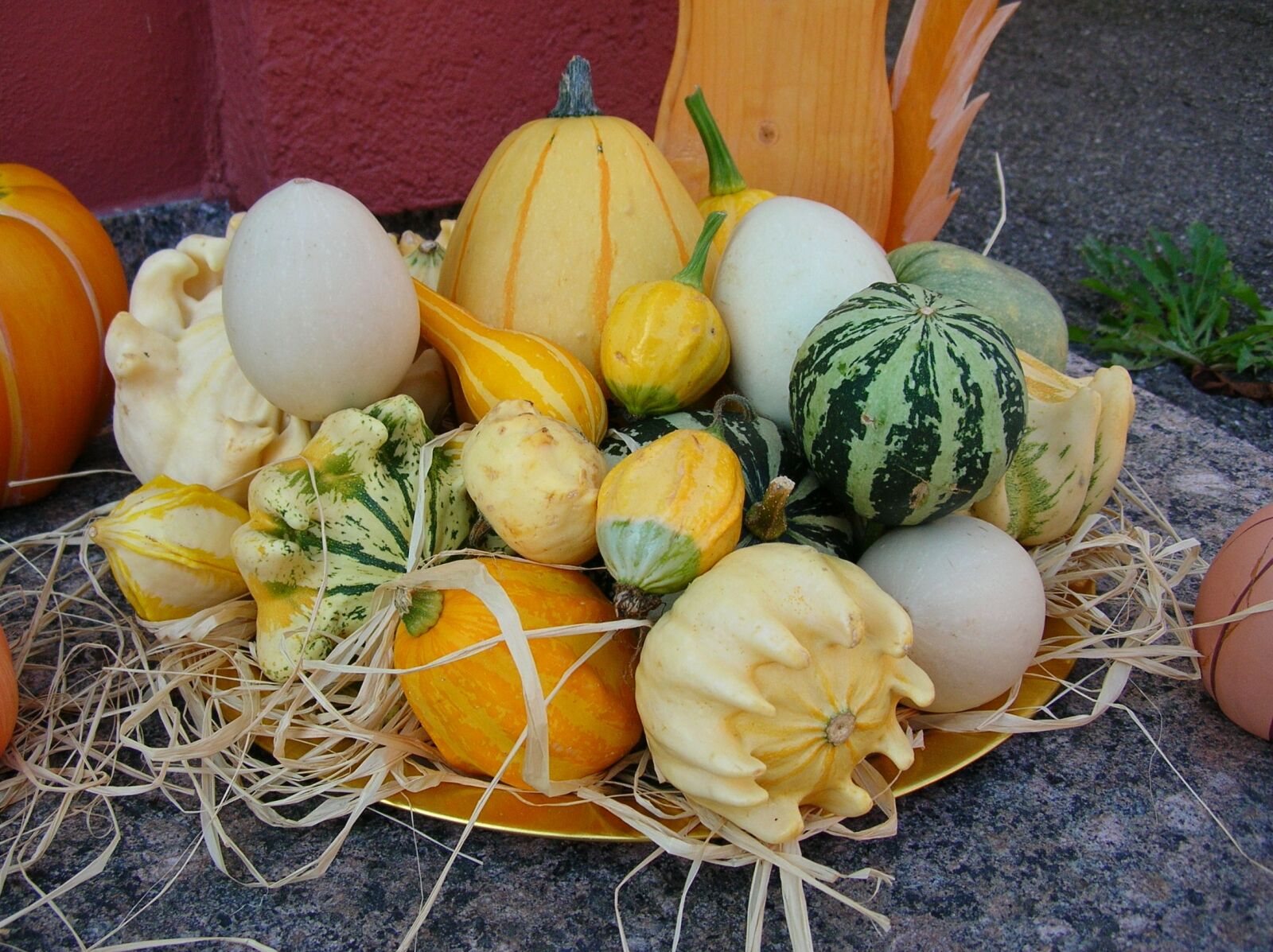 Nikon E4800 sample photo. Food, pumpkin, vegetables photography