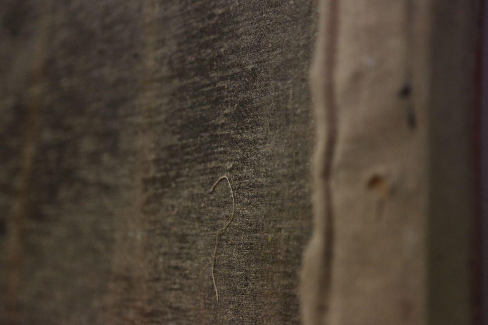 Canon EF 24-105mm F4L IS USM sample photo. Texture, canvas, frame photography