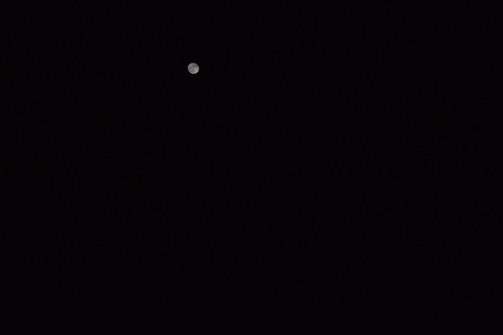 Nikon D3300 sample photo. Moon, light, black photography