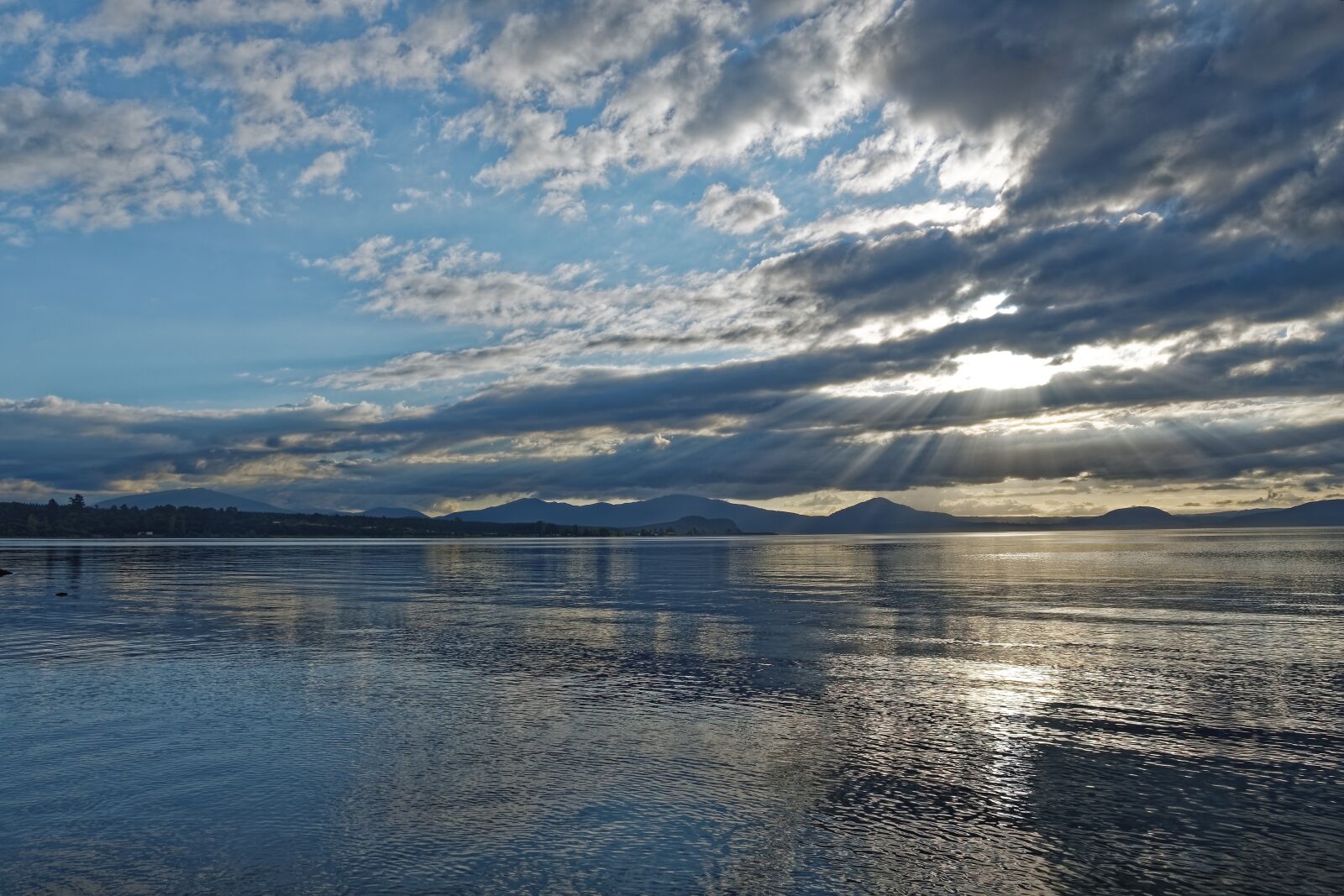 Nikon D500 sample photo. New zealand, lake taupo photography