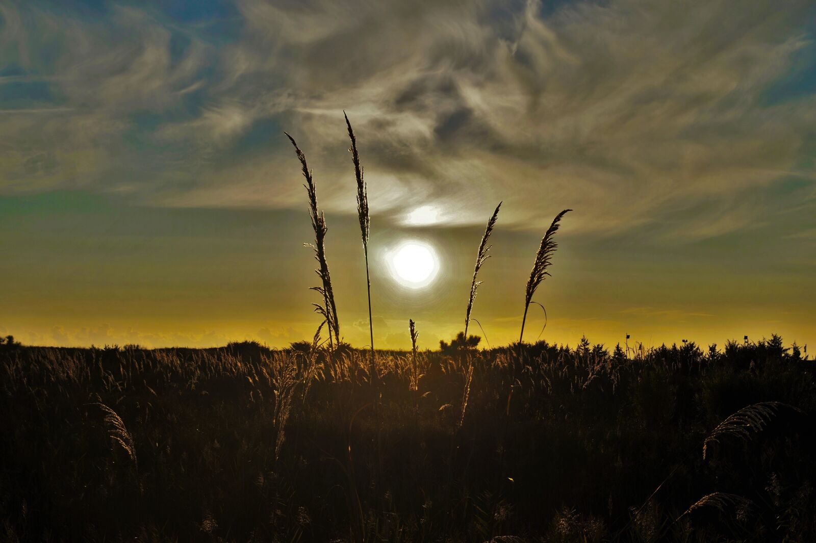 Sony DT 18-55mm F3.5-5.6 SAM II sample photo. Sunset, spring, sun photography