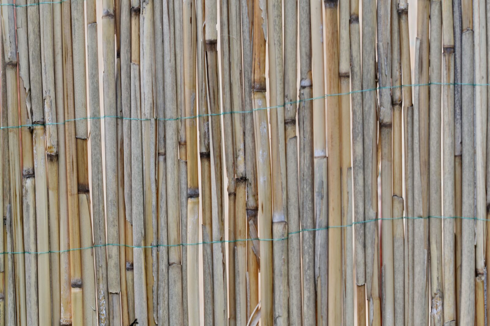 Nikon D5500 sample photo. Wooden, wall, panel, old photography