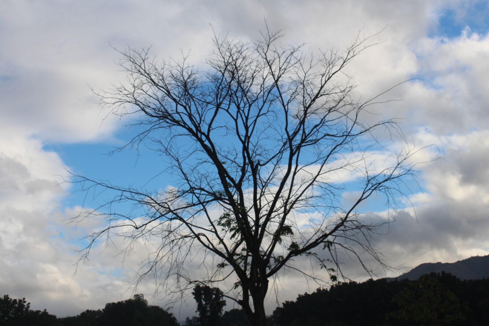 Canon EOS 650D (EOS Rebel T4i / EOS Kiss X6i) sample photo