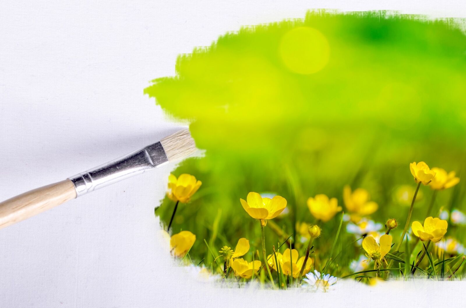 Nikon D5100 sample photo. Abstract, brush, canvas, card photography