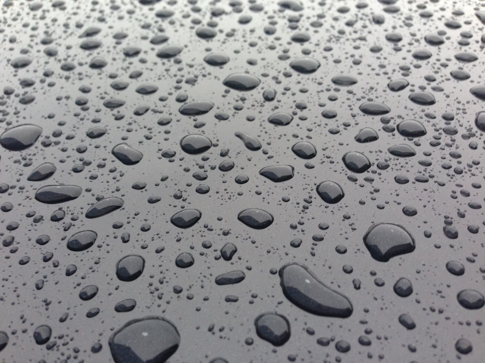 iPhone 5 back camera 4.12mm f/2.4 sample photo. Drops, rain, water photography