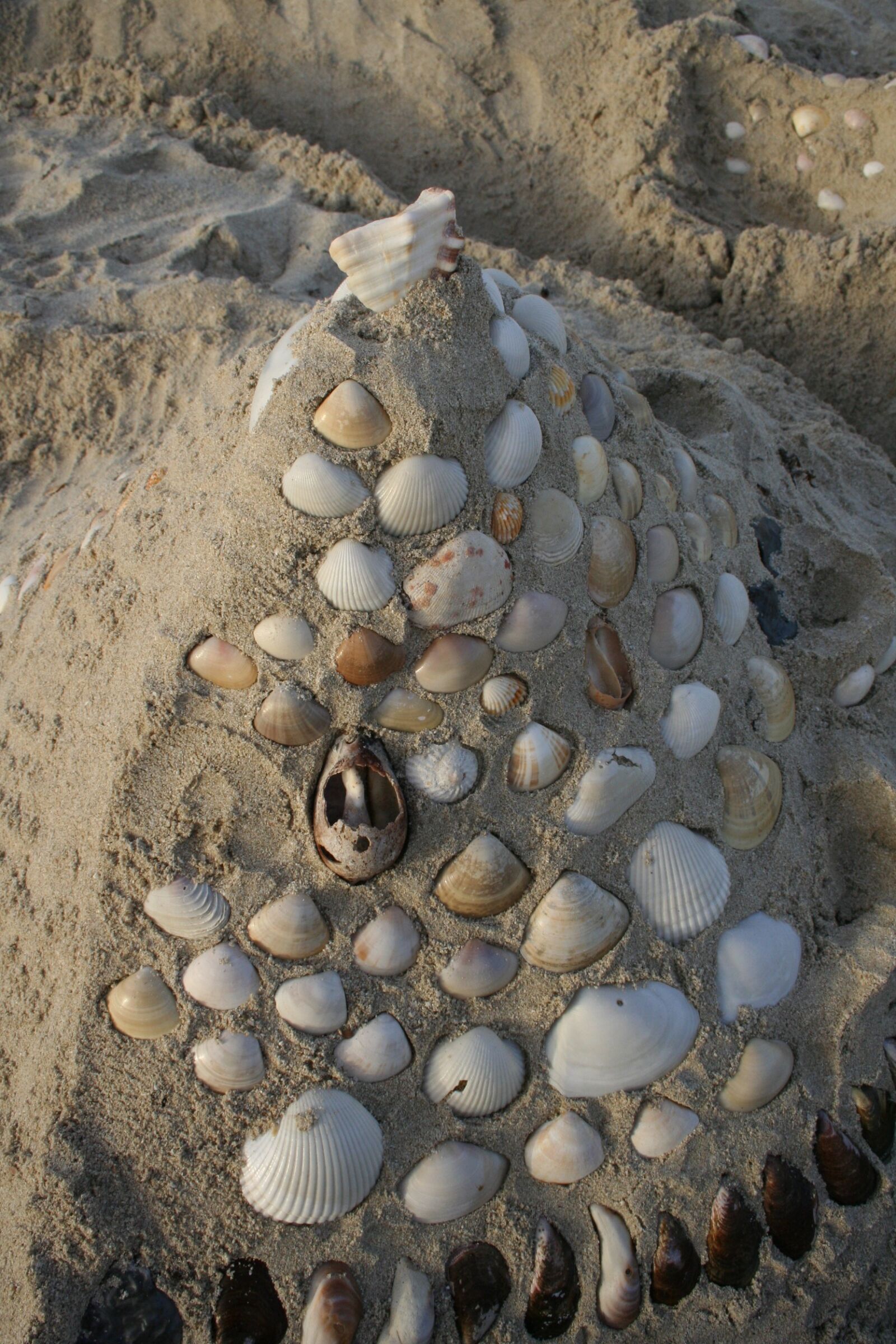 Canon EOS 350D (EOS Digital Rebel XT / EOS Kiss Digital N) sample photo. Snails, sand, summer photography