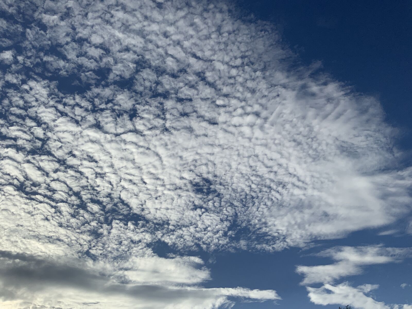 iPad Pro (11-inch) back camera 3mm f/1.8 sample photo. Sky, cloud, blue clouds photography