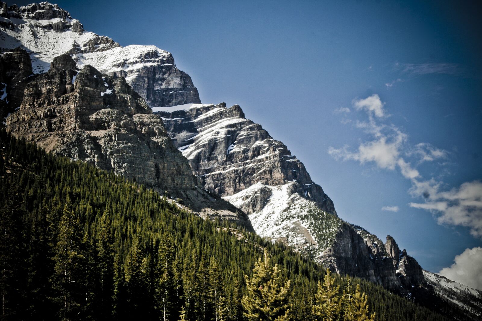 Canon EOS 20D sample photo. Mountain, trees, landscape photography