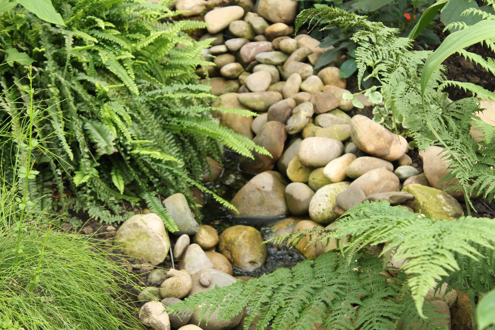 Canon EOS 1100D (EOS Rebel T3 / EOS Kiss X50) sample photo. Nature, rainforest, rocks photography