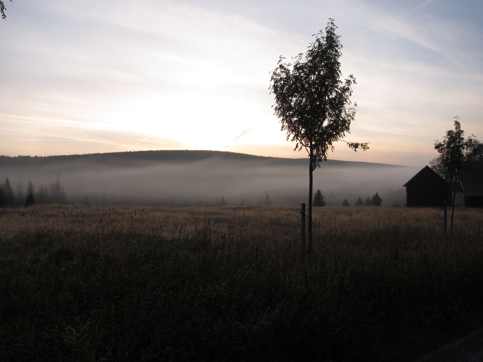 Canon PowerShot S95 sample photo. Morning fog, awakening, jizerka photography