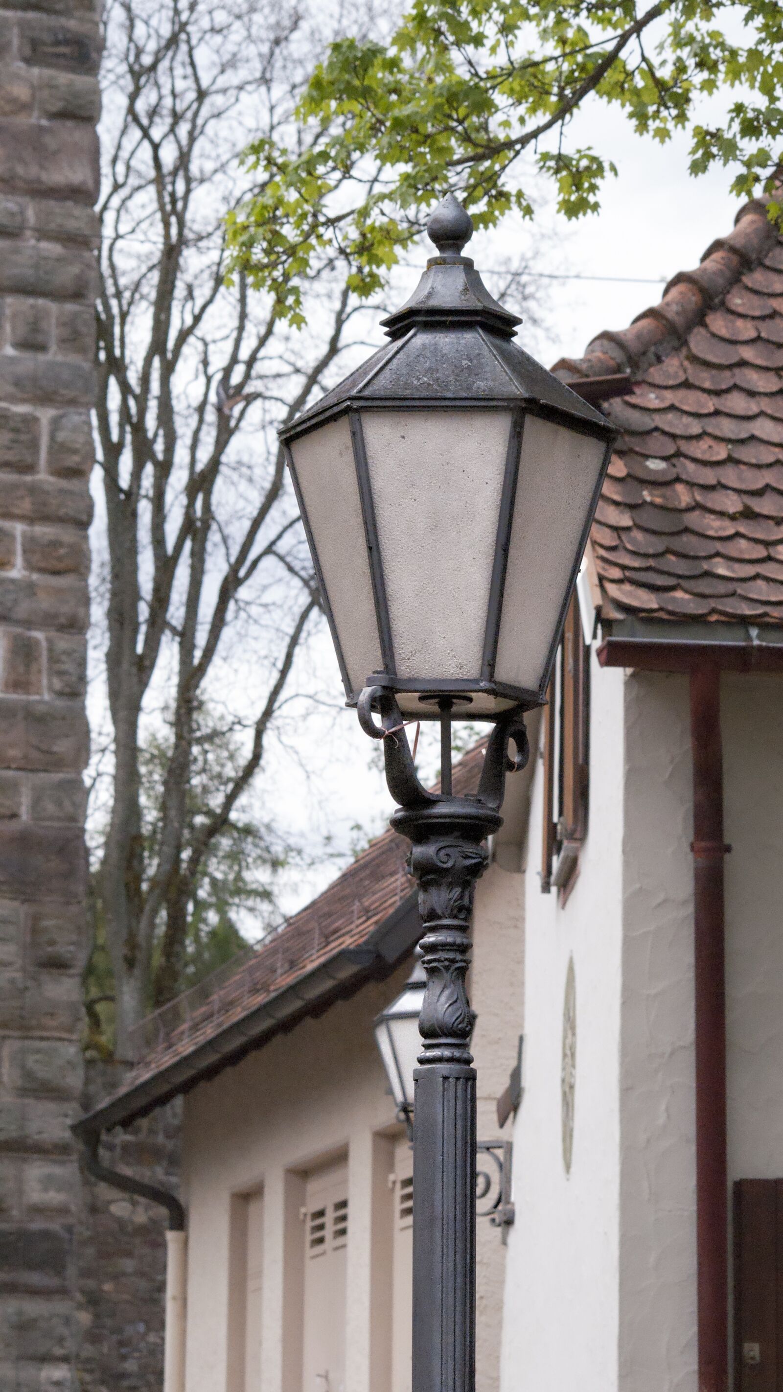 Sony Alpha DSLR-A200 sample photo. Black forest, historic center photography