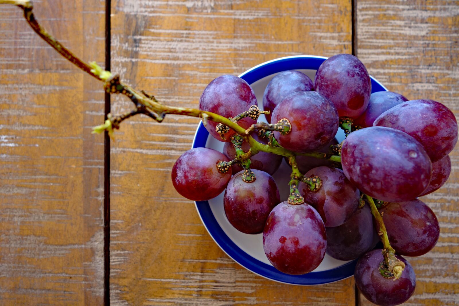 Sony Cyber-shot DSC-RX100 II sample photo. Grape, grapes, blue photography