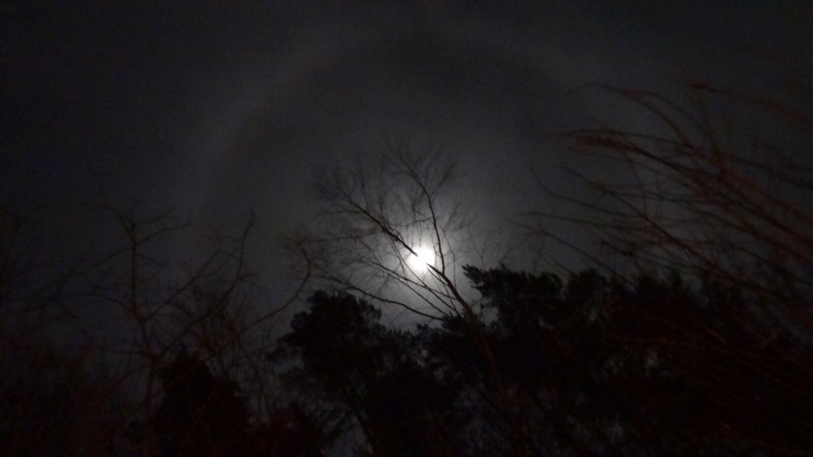 Sony Cyber-shot DSC-HX9V sample photo. Moon, night, full moon photography
