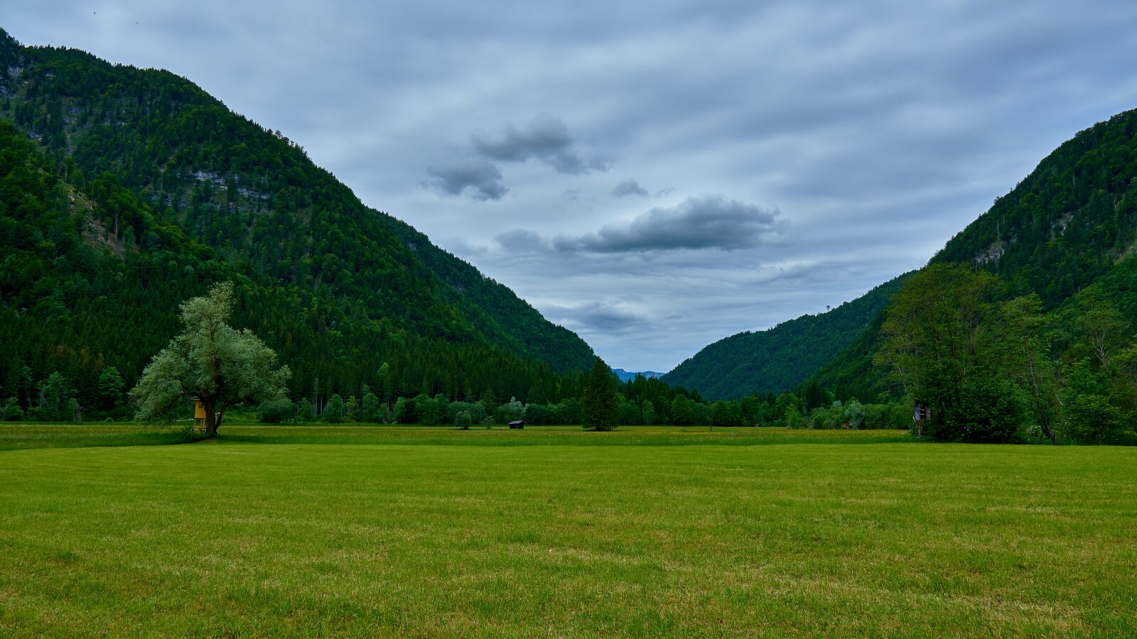 Sigma 16mm F1.4 DC DN | C sample photo. Hagertal, tyrol, green photography
