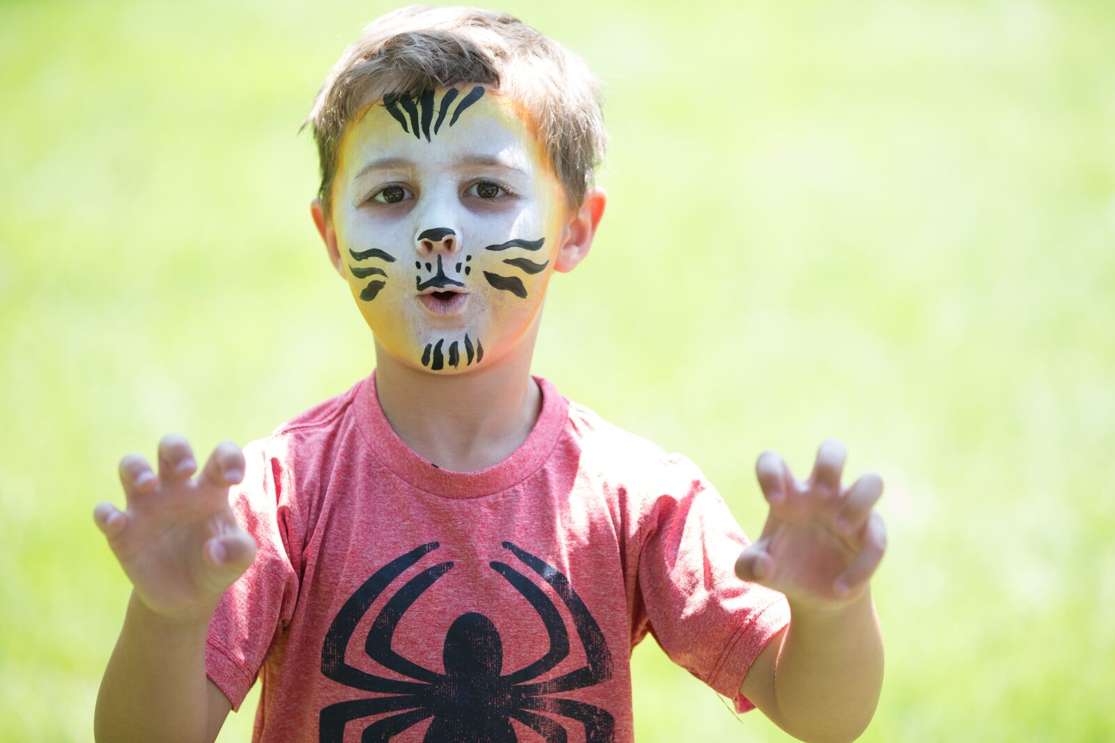 Canon EOS 5D Mark III sample photo. Boy, picnic, party photography
