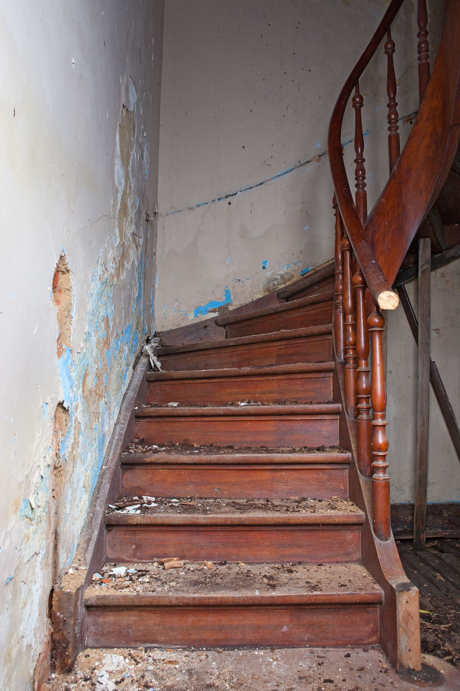 Canon EOS 5D Mark II sample photo. Ladder, ruin, steps photography