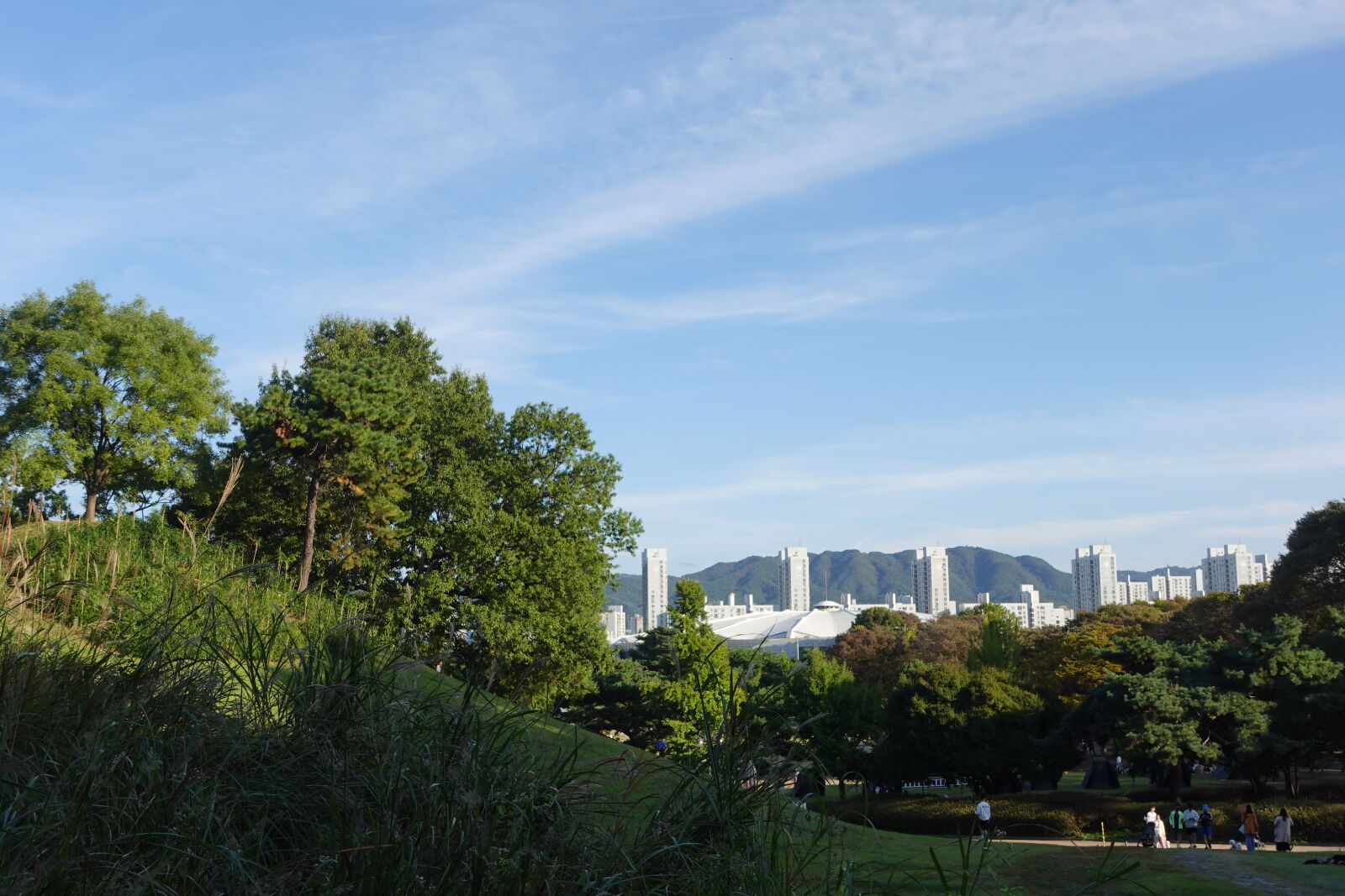 Sony ZV-1 sample photo