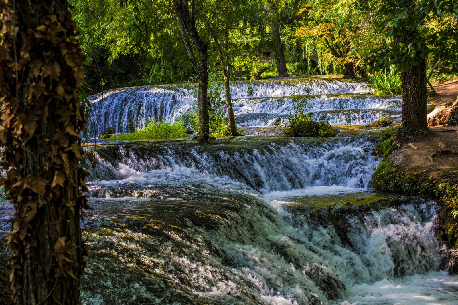 Nikon D3400 sample photo. Stone monastery, trees, stone photography