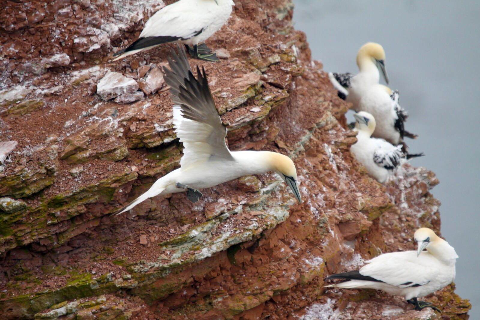 Canon EOS 50D sample photo. Germany, mecklenburg, north sea photography