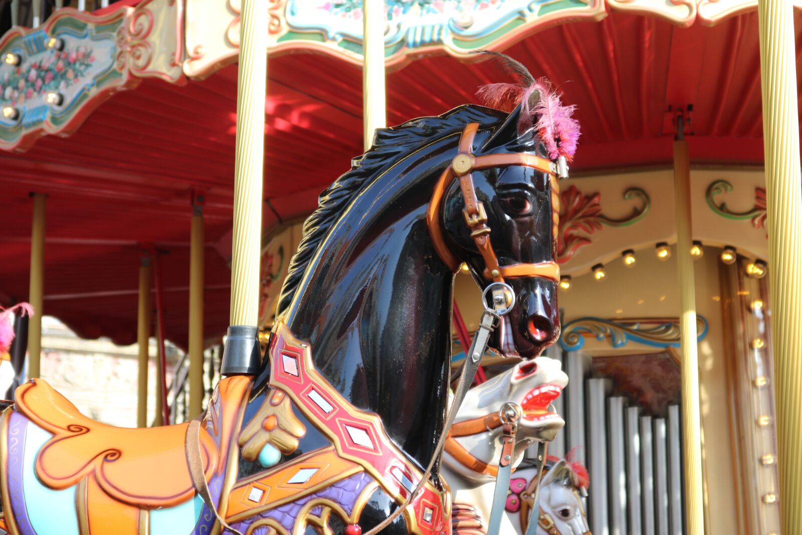 Canon EOS 750D (EOS Rebel T6i / EOS Kiss X8i) sample photo. Carousel, horse, children photography