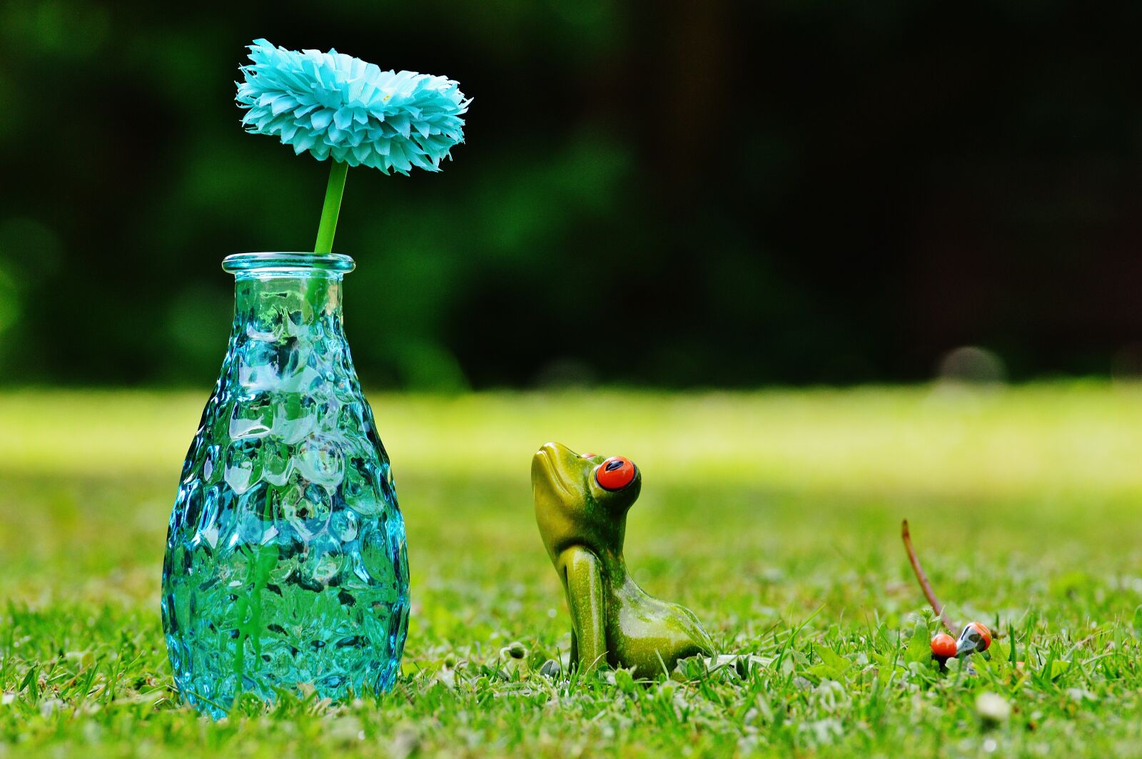Nikon D3200 sample photo. Vase, flower, frog photography