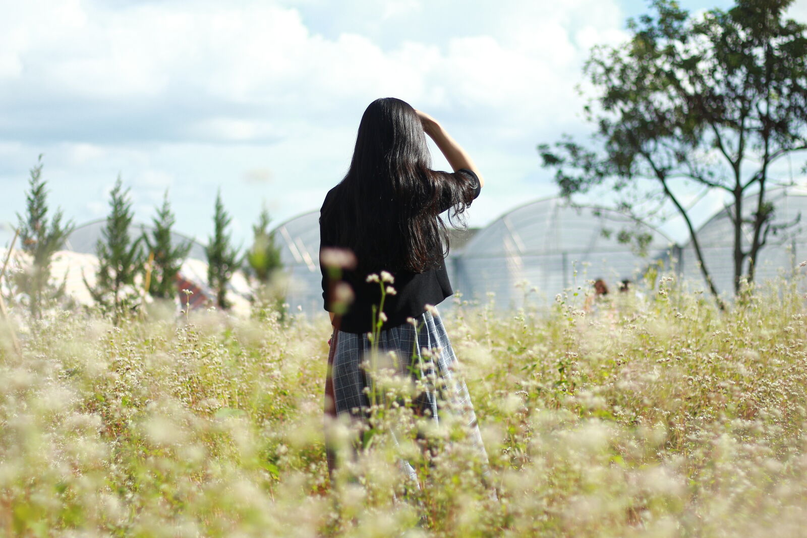 Canon EF 50mm F1.8 II sample photo