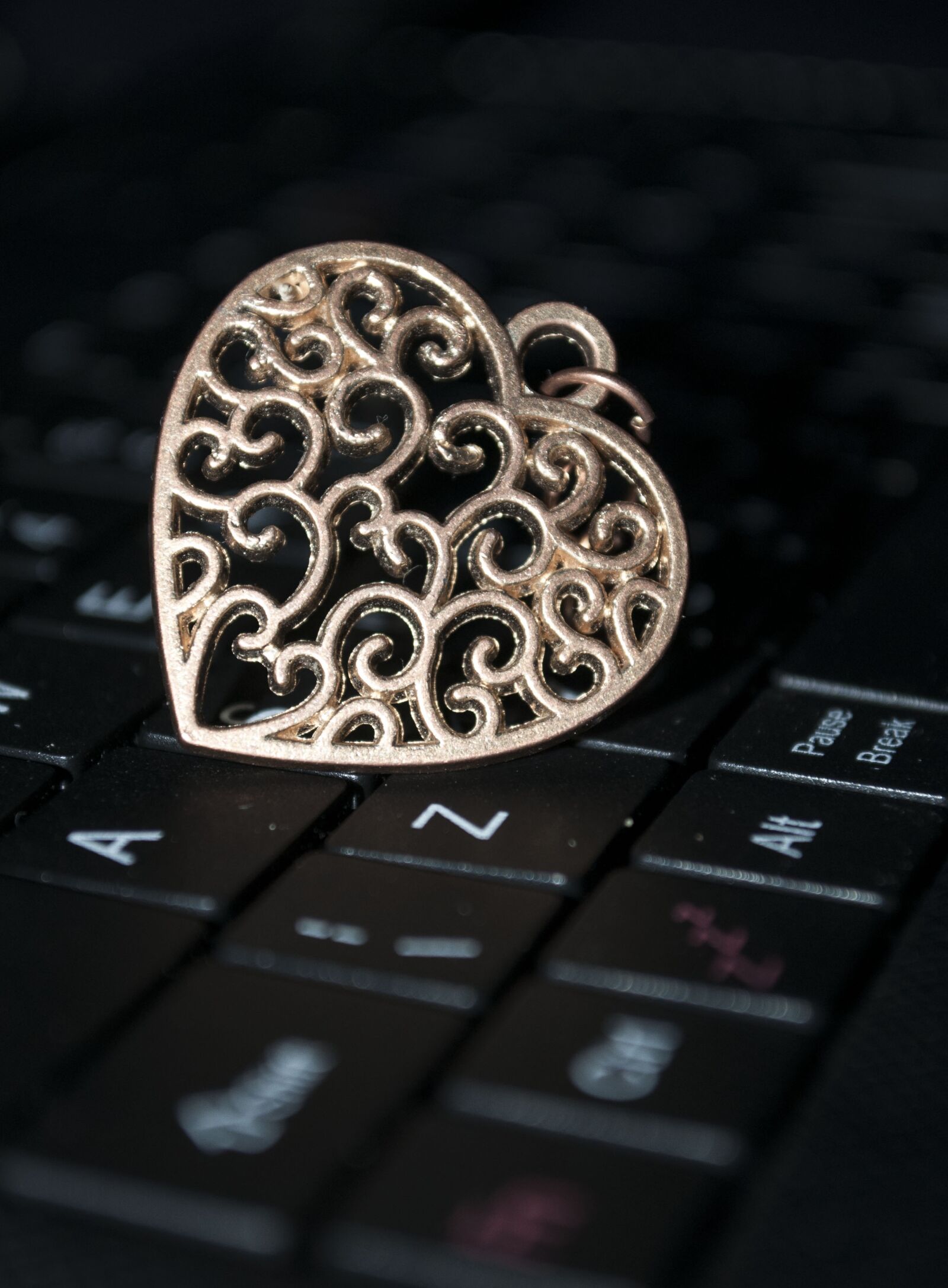Nikon D90 sample photo. Medalion, bronze, achievement photography