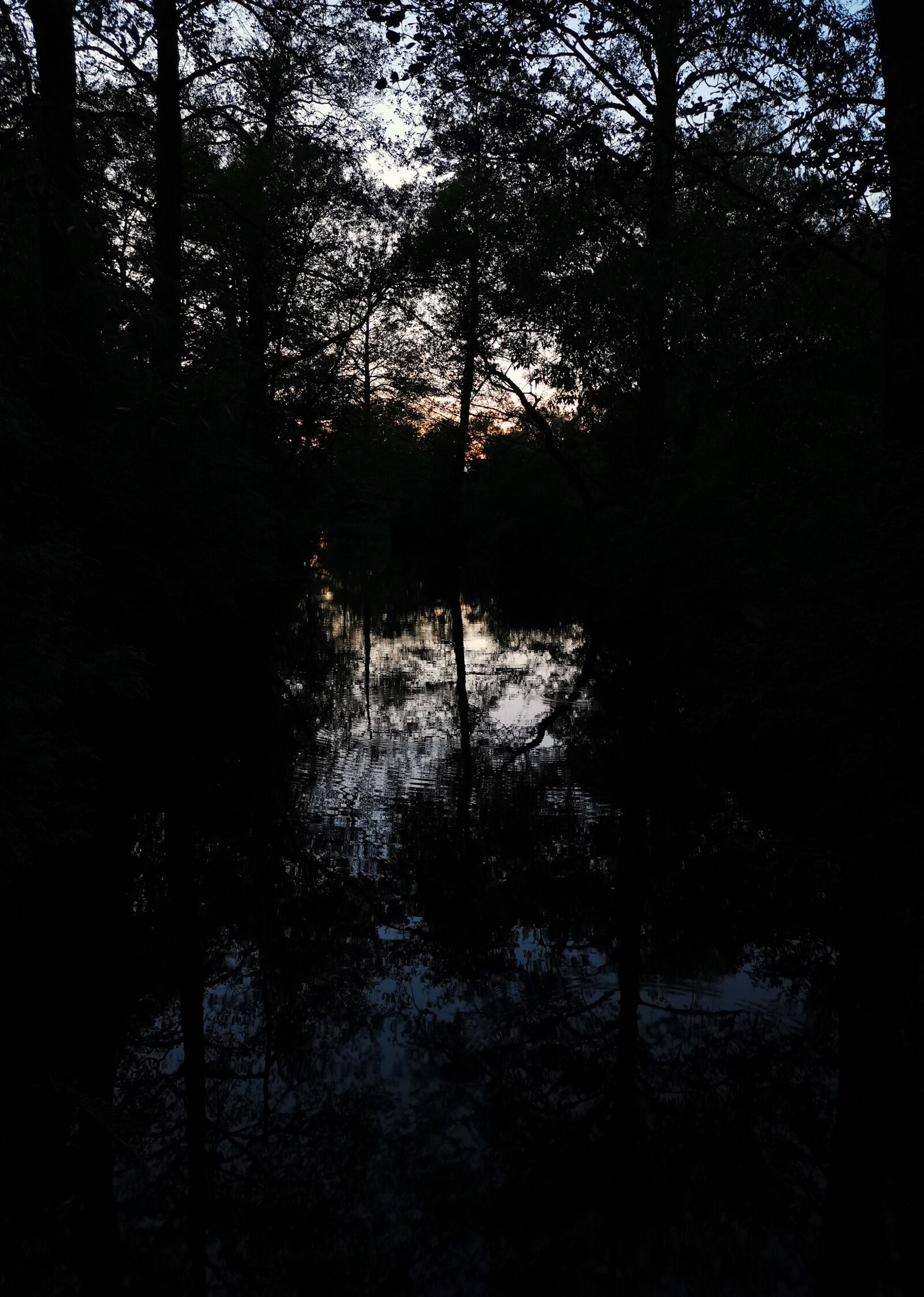 HUAWEI P30 sample photo. Water, sunset, bach photography