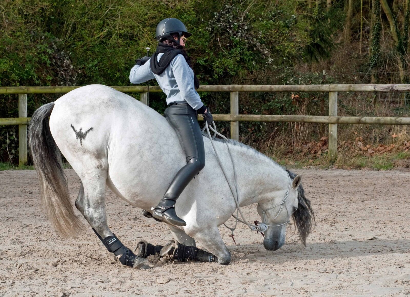 Nikon D300 sample photo. Man, horse, animal, sport photography
