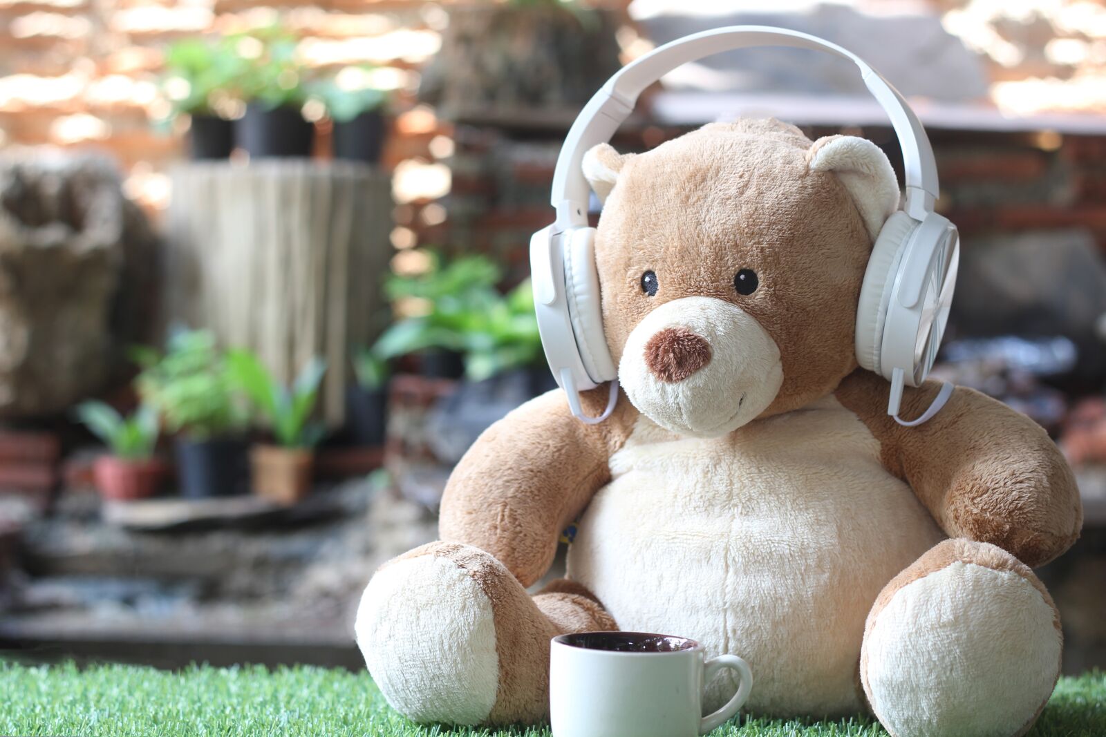 Canon EOS 550D (EOS Rebel T2i / EOS Kiss X4) sample photo. Toy, music, listen photography