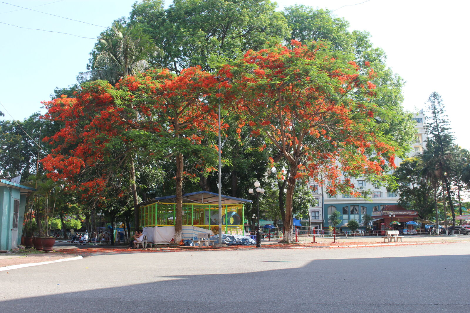 Canon EOS 700D (EOS Rebel T5i / EOS Kiss X7i) sample photo