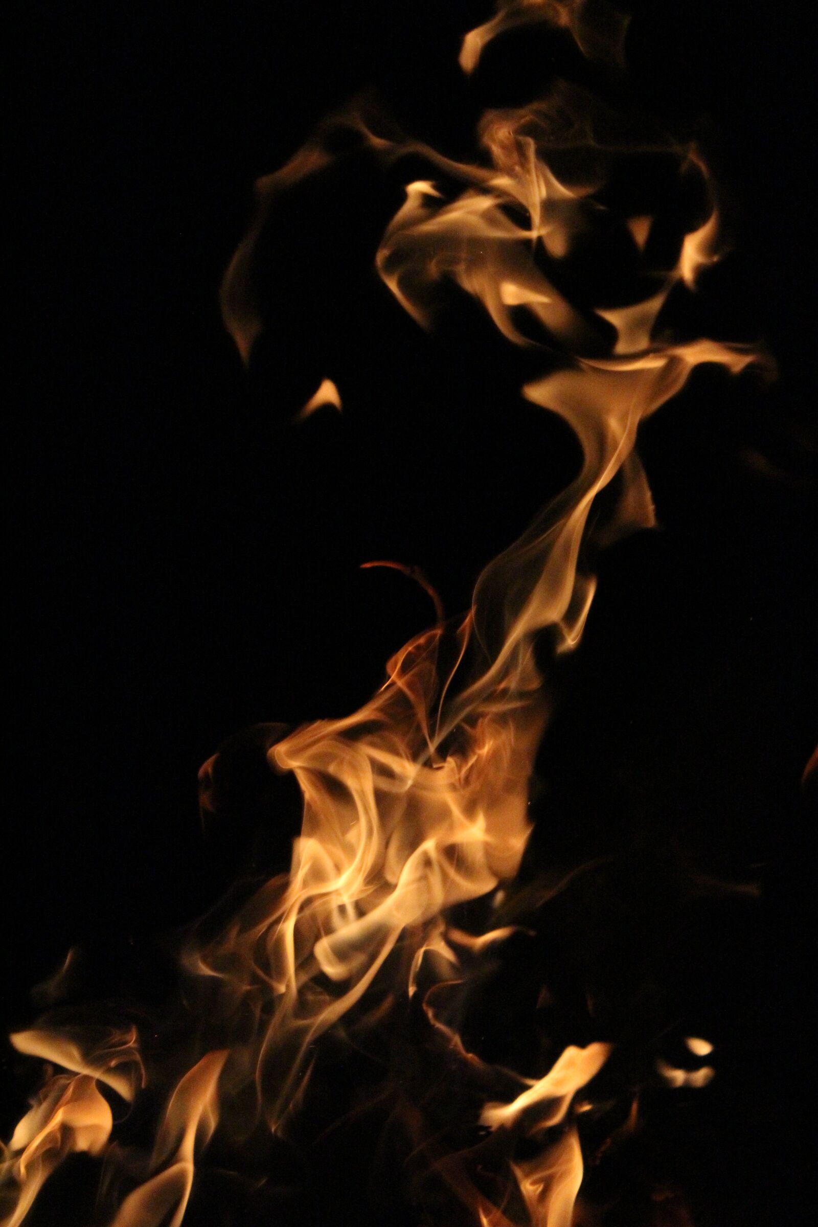 Canon EOS 600D (Rebel EOS T3i / EOS Kiss X5) sample photo. Fire, cam, camping photography
