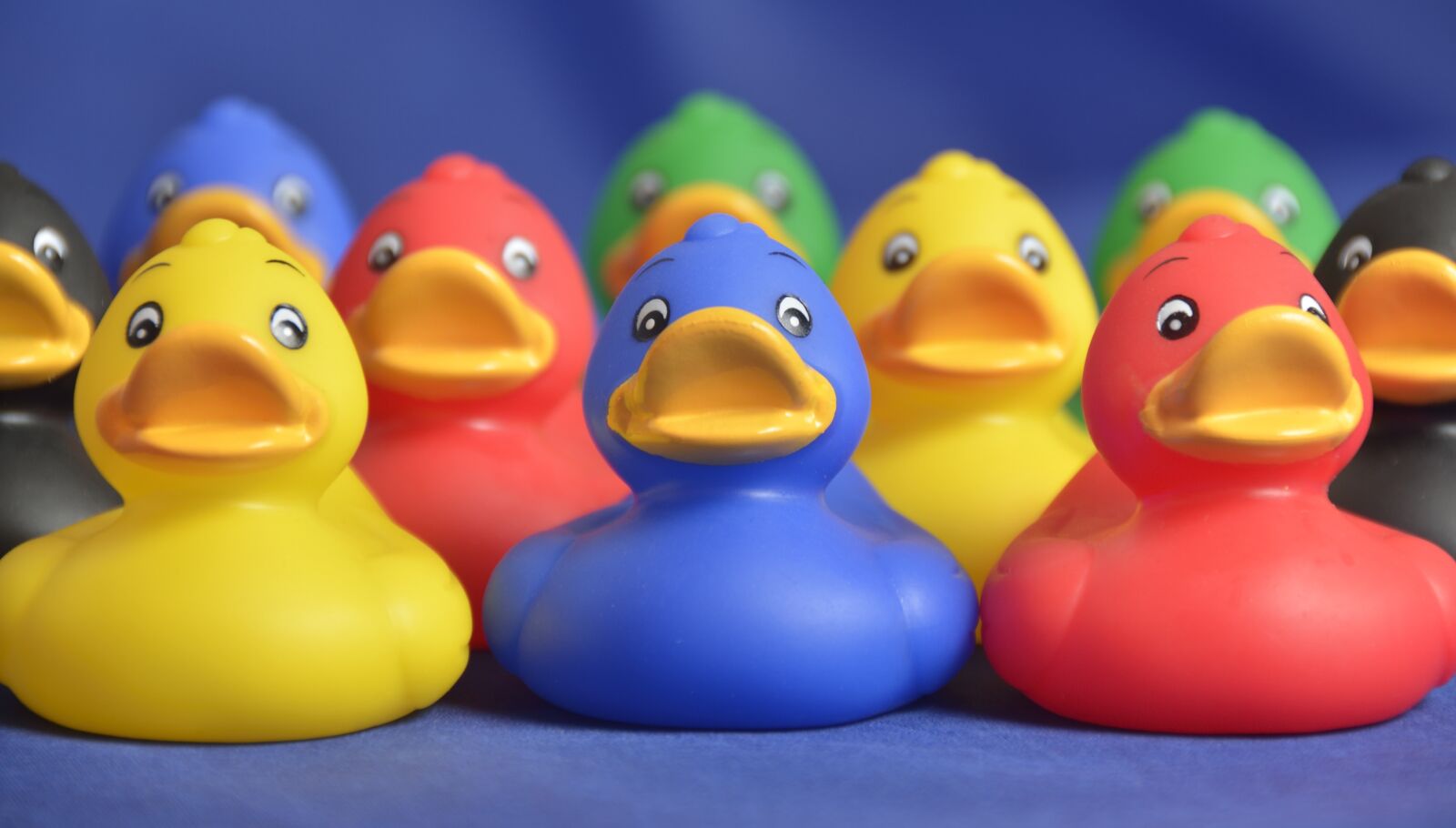 Nikon D7000 sample photo. Toy, duck, yellow photography