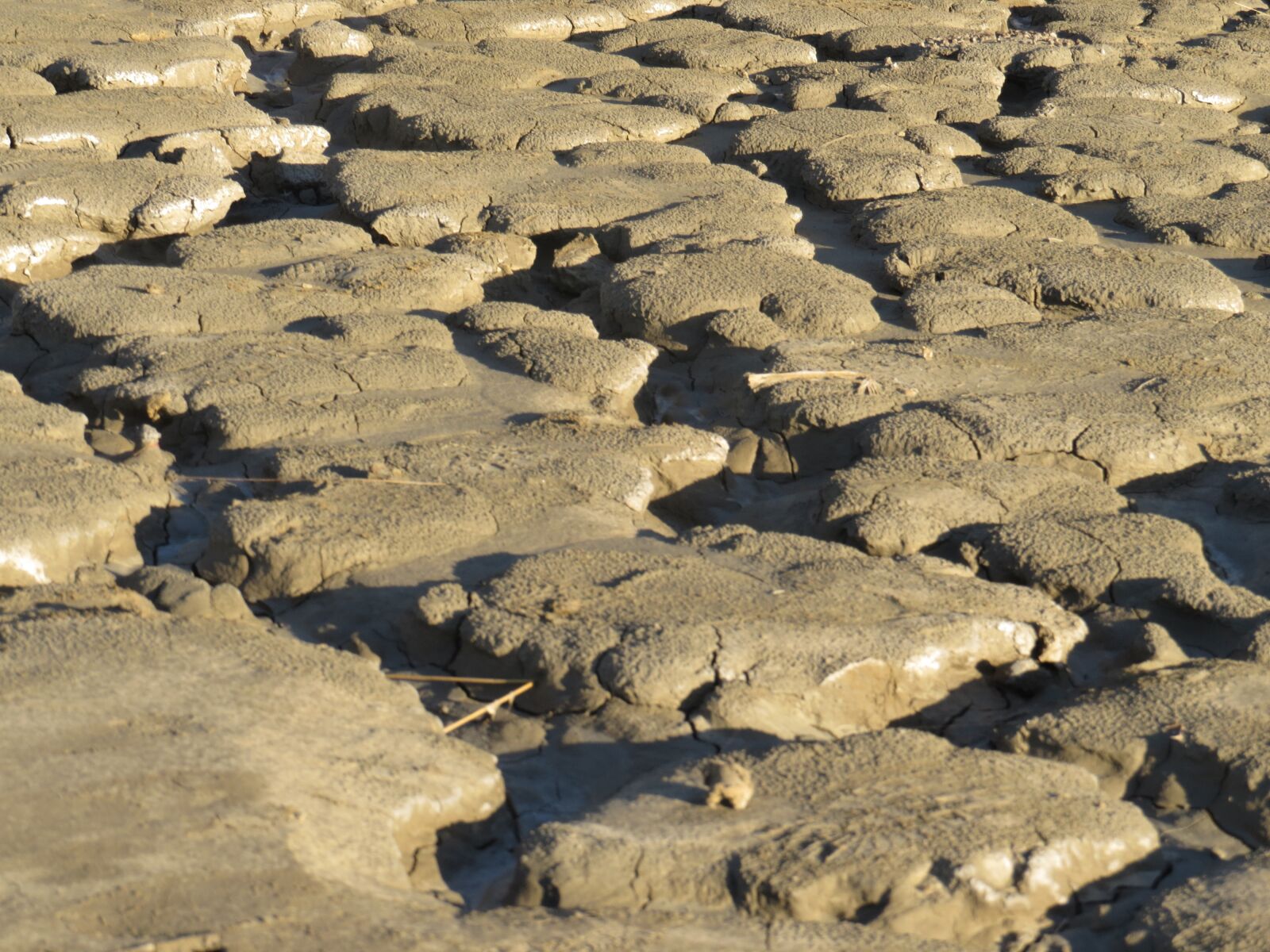 Canon PowerShot SX50 HS sample photo. Muddy volcanoes, romania, buzau photography