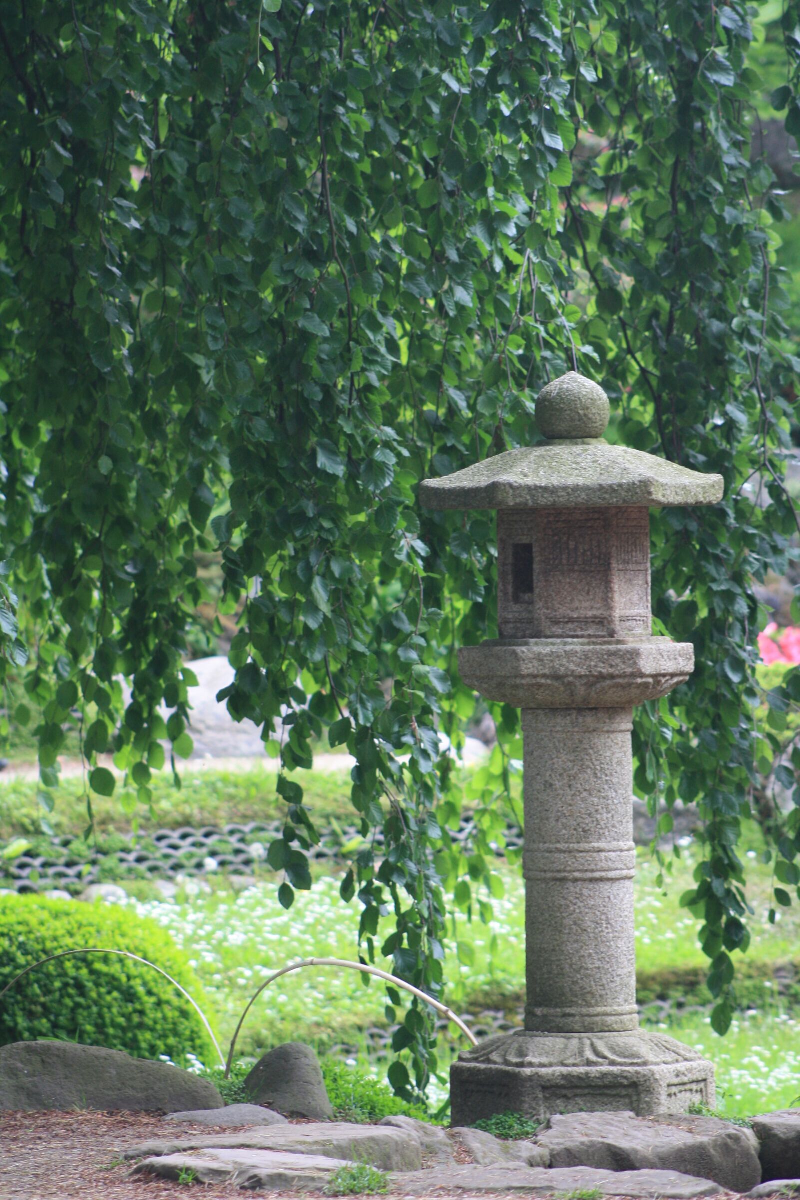 Canon EOS 1000D (EOS Digital Rebel XS / EOS Kiss F) sample photo. Lantern, pierre, zen photography